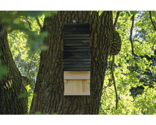 Fledermauskasten an einem Baumstamm montiert