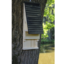 Fledermauskasten dobar 19,5 x 14 x 53,5 cm-thumb-4 Fledermauskasten dobar 19,5 x 14 x 53,5 cm-thumb-4