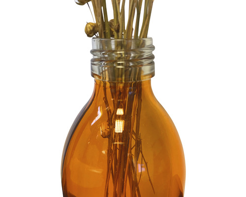 Dekorative Glasvase mit Pflanzen