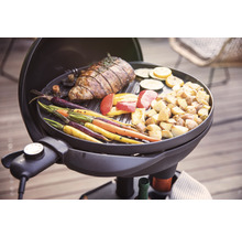 Barbecue Griller Severin PG 8541