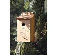 Holz Vogelhaus am Baumstamm montiert