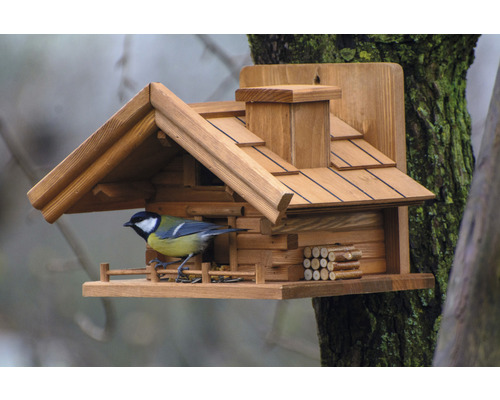 Holzvogelhaus mit Meise am Futterplatz