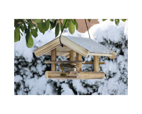 Vogelhaus mit Schnee und Vogel