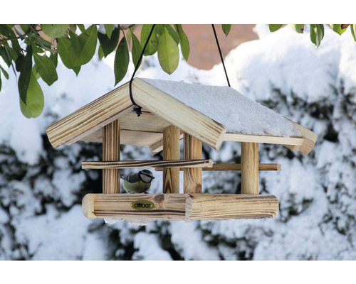 Vogelhaus aus Holz mit Blaumeise und Schnee