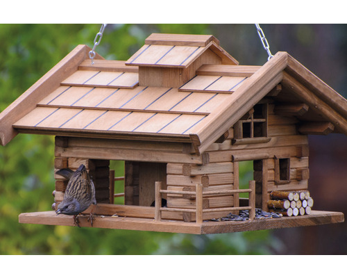 Holzvogelhaus im Chaletstil mit Vogel
