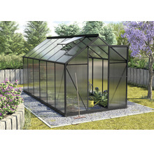 Gewächshaus mit geöffneter Tür in einem Garten.