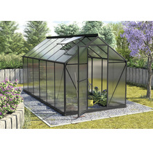Gewächshaus mit geöffneter Tür und Oberlicht in einem Garten