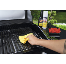 Reinigung eines Grillrosts mit einem Tuch zusammen mit Reinigungsbürste und Reinigungsspray