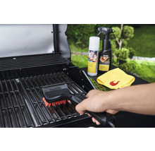 Reinigung einer Grillfläche mit einer Grillbürste und Reinigungsprodukten.