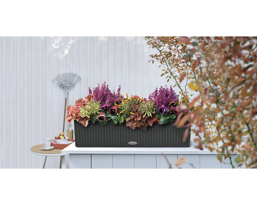 Blumenkasten mit verschiedenen Pflanzen auf einer Terrasse