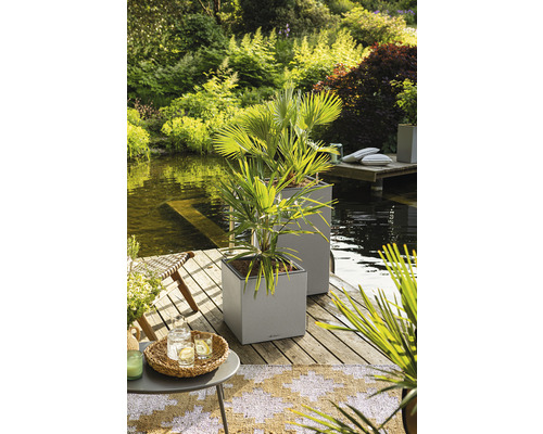 Szene mit zwei quadratischen Pflanzkübeln mit Palmenbepflanzung auf einer Holzterrasse am See.