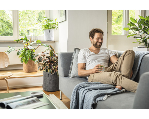 Wohnzimmer mit Mann auf Couch und Pflanzen in Pflanzgefäßen aus Filz