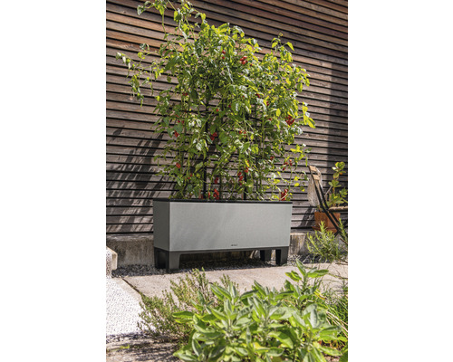 Hochbeet mit Tomatenpflanzen und Rankhilfe vor einer Holzwand