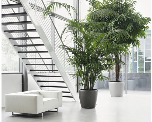 Helle Halle mit Treppe, Sessel und Zimmerpflanzen in Töpfen