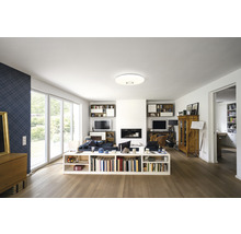 Wohnzimmer mit Bücherregal, Fernseher und Deckenleuchte