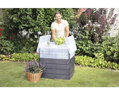 Hochbeet aus Holz mit Kunststoffhaube und Mann mit Salat im Garten