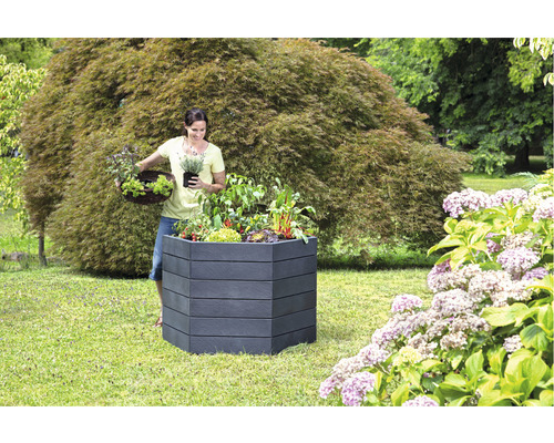 Frau bepflanzt ein Hochbeet im Garten mit Gemüse und Kräutern.