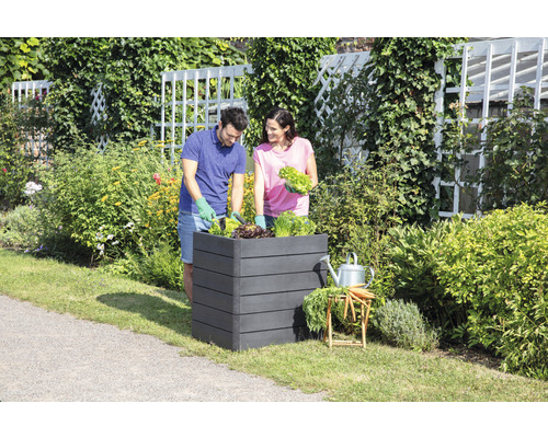 Ein Paar bepflanzt ein Hochbeet im Garten.