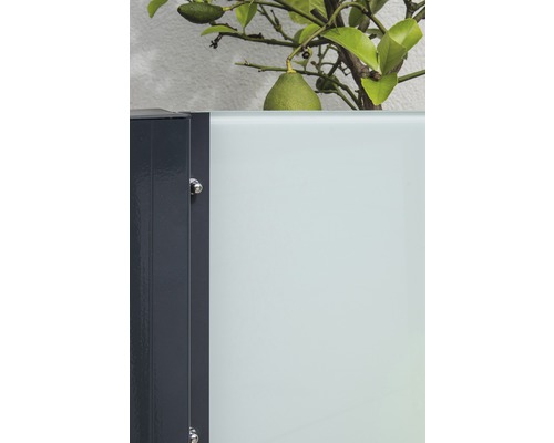 Detailansicht eines Zaunelements mit blickdichtem Glaseinsatz und einer Pflanze