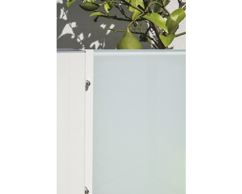 Detailansicht einer Terrassentrennwand mit Zitronenbaum