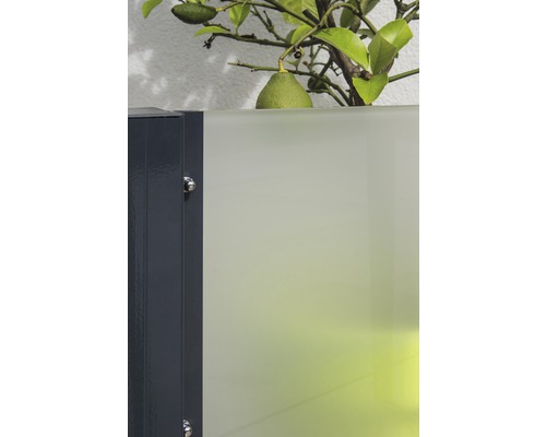 Detailansicht einer Sichtschutzwand mit einer Pflanze