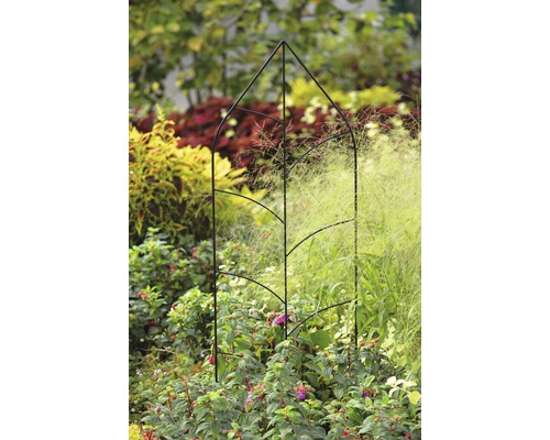 Metall-Pflanzstütze im Gartenbeet