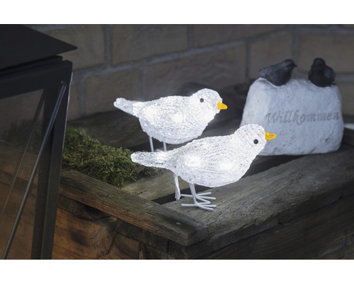 Dekorative, beleuchtete Vögel aus Acryl auf einem Holztisch