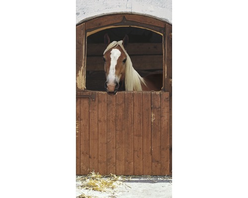 Fototapete Pferd 97x220 cm
