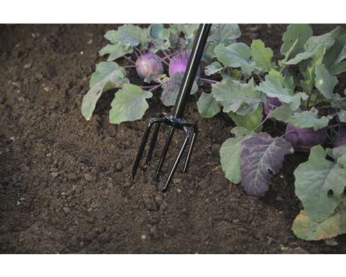 Gartengabel im Beet mit Kohlrabipflanzen