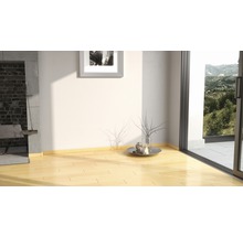 SKANDOR Sockelleiste Esche lack FLES071 SU060L 19 x 58 x 2400 mm-thumb-2 SKANDOR Sockelleiste Esche lack FLES071 SU060L 19 x 58 x 2400 mm-thumb-2