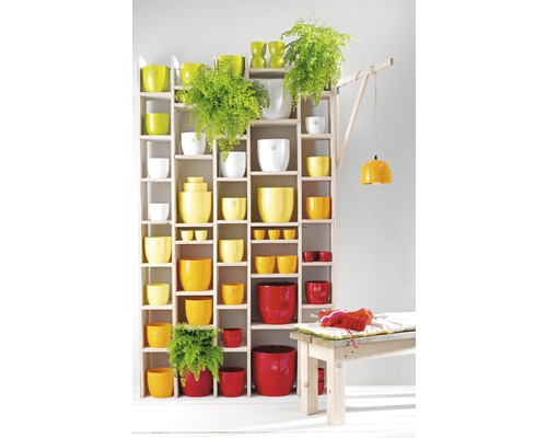 Regal mit Pflanzgefäßen in verschiedenen Größen und Farben, zusammen mit Pflanzen und einer Lampe