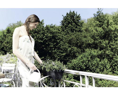 Frau gießt Blumen in einem Balkonkasten mit einer Gießkanne.