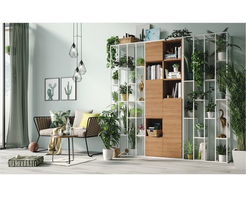 Wohnzimmer mit Regal, Sofa und Zimmerpflanzen