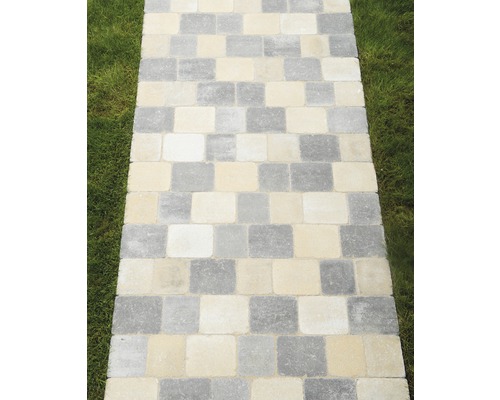 Gepflasterter Gartenweg mit rechteckigen Steinen