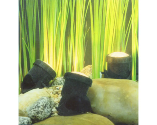 Aquariumdekoration mit Steinen und Pflanzen
