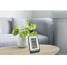 Wetterstation auf einem Tisch mit Pflanze und Sofa im Hintergrund