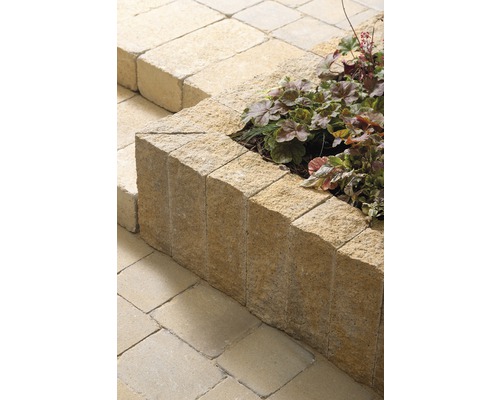 Gartenmauer aus Betonsteinen mit Pflanzen