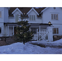 Beleuchteter Weihnachtsbaum vor einem Haus