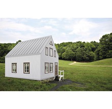 Kleines Haus mit Satteldach auf einer grünen Wiese