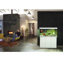 Wohnzimmer mit Aquarium und sitzendem Mann am Kamin.