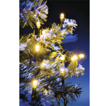 Lichterkette mit warmweißen LEDs auf Tannenzweig