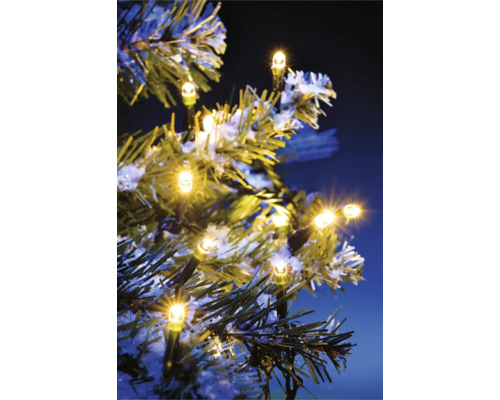 Lichterkette mit warmweißen LEDs auf Tannenzweig
