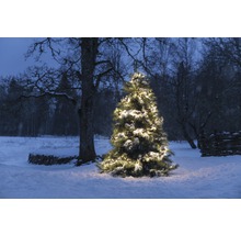 Beleuchteter Weihnachtsbaum im verschneiten Garten