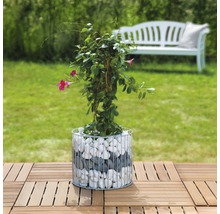 Pflanze in einem Drahtkorb mit Steinen auf einem Holzboden im Garten.
