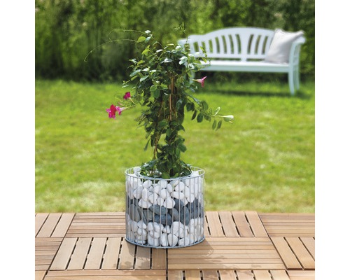 Pflanze in einem Drahtkorb mit Steinen auf einem Holzboden im Garten.