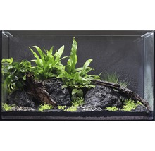 Aquarien-Wasserpflanzenpaket M "Guppy Tank" für ca. 60 l Aquarium 10 Töpfe-thumb-0