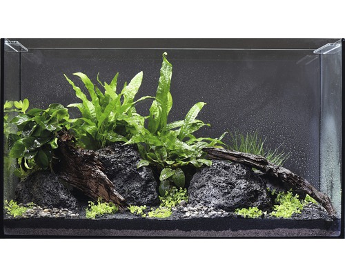 Aquarium DENNERLE Nano ScapersTank 55 l mit Unterlage - HORNBACH