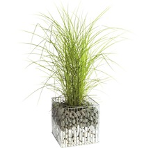 Gras in Gabionen-Pflanzgefäß