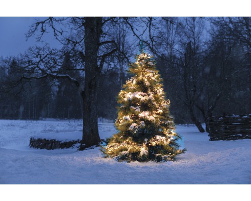 Geschmückter Weihnachtsbaum im verschneiten Aussenbereich mit Beleuchtung