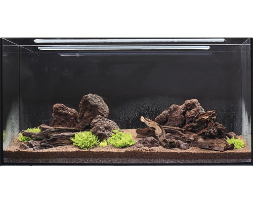 Eingerichtetes Aquarium mit Steinen, Wurzeln, Pflanzen und Bodengrund